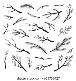 Collection of hand drawn rustic twigs and coniferous branches isolated on white background.