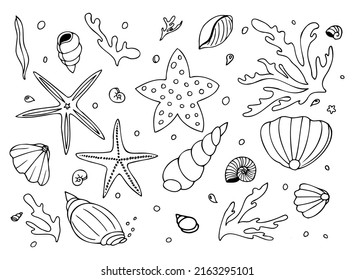 Collection of hand drawn sea creatures - sea creatures, shells, starfish, corals, mussels, etc. Can illustrate any topic about underwater life, marine life, etc.