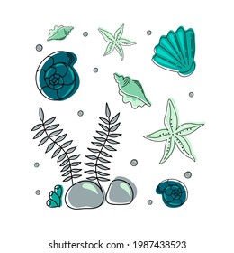 Collection of hand drawn sea shells and stars flat style. Marine shellfish illustration. Colorful seashells isolated on a light background.