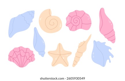 Collection of hand drawn sea shells on a white background