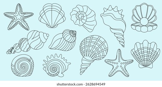 Collection hand drawn seashells. Minimalist vintage marine contours. Collage aesthetics. Summer coastal design elements for trendy prints, invitation, menu cover. Tropical beach shells.
