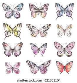 Collection of Hand Drawn silhouette butterflies with watercolor texture. Vector illustration in vintage style.