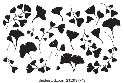 Collection of hand drawn silhouette Ginkgo Biloba leaves and branches. Floral elements for wedding invitations, posters, web, etc.