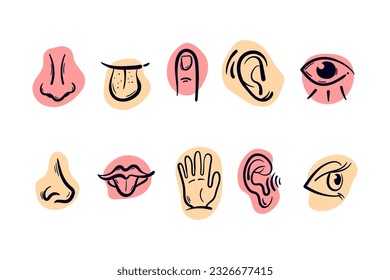 Collection of hand drawn simple doodle icons representing five senses. Human organs drawing vector sketch illustration