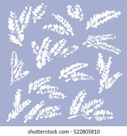 Collection of hand drawn snow-covered pine branches