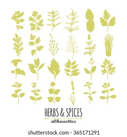 Collection of hand drawn spicy herbs silhouettes. Culinary elements for your design. Vector illustration
