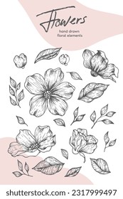 Collection of hand drawn spring flowers and plants. Monochrome vector illustrations in sketch style.