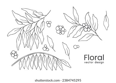 Colección de plantas y flores de primavera dibujadas a mano. Ilustraciones vectoriales monocromáticas en estilo de esbozo.