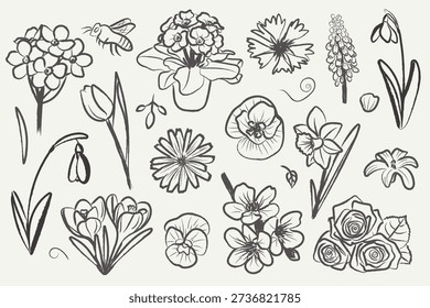 Collection hand drawn spring