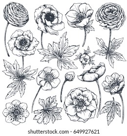 Collection of hand drawn spring flowers and plants. Monochrome vector illustrations in sketch style