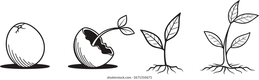 Colección de ilustraciones de brotes dibujadas a mano con hojas y base de tierra. Bocetos de plántulas en blanco y negro perfectos para proyectos de diseño ecológico, de naturaleza y de crecimiento. Conjunto de arte de línea de plantas orgánicas.