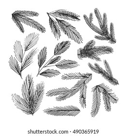 Collection of hand drawn spruce branches. Ink illustration. Vector christmas branches. Isolated on white background.