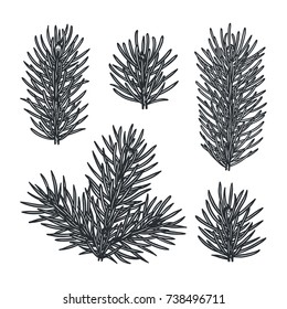 Collection of hand drawn spruce branches. Traditional Christmas decoration symbol for greeting card, poster, textile, banner, website.