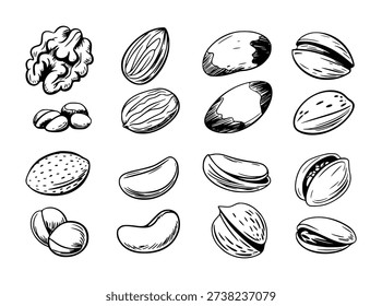 Colección de tuercas de estilo dibujadas a mano aisladas comida de fondo blanco saludable