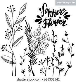 Collection of hand drawn summer flowers and plants. Monochrome vector illustrations in sketch style on white background. Hand lettering.