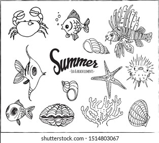 Collection of hand drawn summer sea and beach elements
