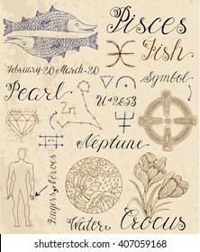 Collection of hand drawn symbols for astrological zodiac sign Pisces or Fish. Line art vector illustration of engraved horoscope set. Doodle drawing and sketch with calligraphic lettering