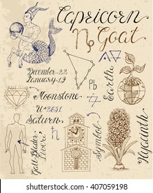 Collection of hand drawn symbols for astrological zodiac sign Capricorn or Goat. Line art vector illustration of engraved horoscope set. Doodle drawing and sketch with calligraphic lettering