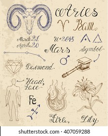 Collection of hand drawn symbols for astrological zodiac sign Ram or Aries. Line art vector illustration of engraved horoscope set. Doodle drawing and sketch with calligraphic lettering