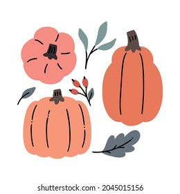 Collection of hand drawn thanksgiving, halloween pumpkins icons, leaves and berries.