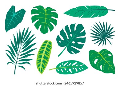 Collection of hand drawn tropical leaves. Exotic leaves set in minimalistic flat style. Vector elements isolated on a white background.