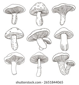 Coleção de vários cogumelos desenhados à mão. Conjunto de ícones de cogumelos. Esboço desenhado à mão.