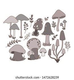 Collection of hand drawn vector EPS 10 mushrooms.