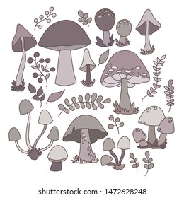 Collection of hand drawn vector EPS 10 mushrooms.