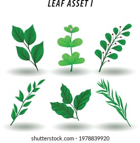 collection of hand drawn vector floral botanical images, editable files for personal and commercial use please follow the portfolio thanks for following me