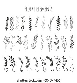 Collection of hand drawn vector floral and branches with leaves, flowers, berries. Modern sketch collection. Decorative elements for design. Ink, vintage vector.