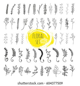 Collection of hand drawn vector floral and branches with leaves, flowers, berries. Modern sketch collection. Decorative elements for design. Ink, vintage vector.
