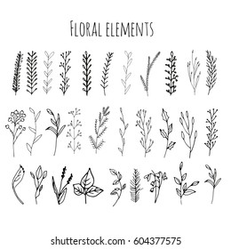 Colección de vectores a mano floral y ramas con hojas, flores, bayas. Colección moderna de sketch. Elementos decorativos para el diseño. Tinta vectorial vintage.