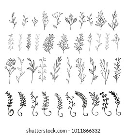 Collection of hand drawn vector florals and branches with leaves, flowers, berries. Modern sketch collection. Decorative elements for design. Ink, vintage vector.