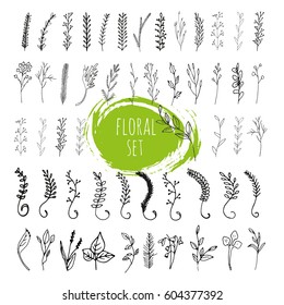 Collection of hand drawn vector florals and branches with leaves, flowers, berries. Modern sketch collection. Decorative elements for design. Ink, vintage vector.