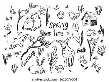 Collection of hand drawn vector illustration. Large set of spring theme contour doodles. Cute animals, spring flowers, birds and handwritten words. Outline elements isolated in white for your design.