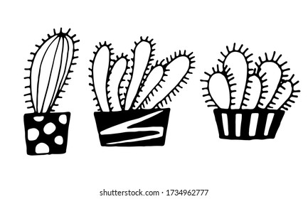 Collection of hand drawn vector illustration of cactuses in the pot. Doodle outline drawing isolated on white background. Exotic houseplant. Home interior decoration. Black and white coloring template