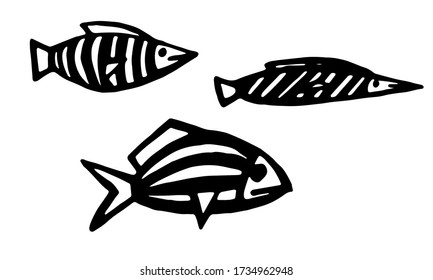 Collection of hand drawn vector illustration of fish. Doodle outline illustration of sea creature isolated on white background. Cute drawing for children. Template for coloring, Black design element