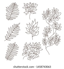 Collection of hand drawn vector leaves. Eps 10.