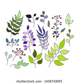 Collection of hand drawn vector leaves. Eps 10.