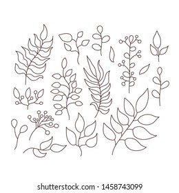 Collection of hand drawn vector leaves. Eps 10.