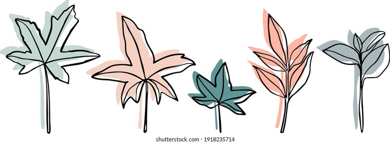 Collection of hand drawn vector leaves outlines with backgrounds.