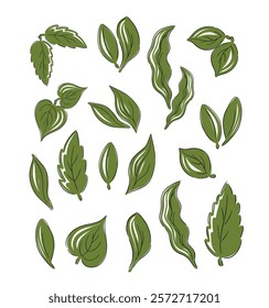 Collection of hand drawn vector leaves in various shapes and sizes on a white background
