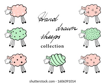A collection of hand drawn vector sheep. Flat vector illustration. Cute cartoon animals isolated