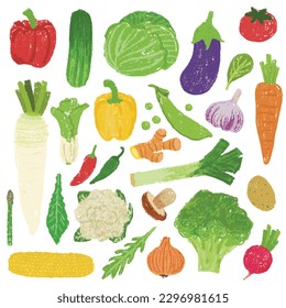 Collection of hand drawn vector vegetables illustration. Color pencil drawing of veggies, the cooking ingredients.