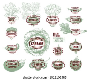 Collection of hand drawn vegetable illustrations, vector illustration in retro style. Labels with various vegetables. Set of logo templates for shops and markets of organic vegetarian food.