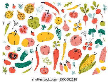 Colección de ilustraciones de verduras hechas a mano aisladas en fondo blanco. Un paquete de deliciosos productos vegetarianos de la dieta vegetariana frescos, comida sana saludable, ingredientes para cocinar. Estilo de caricatura plano