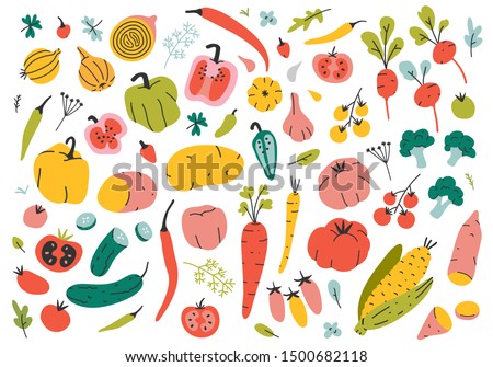 Collection of hand drawn vegetable illustrations isolated on white background. Bundle of fresh delicious vegan diet vegetarian products, wholesome healthy food, cooking ingredients. Flat cartoon style