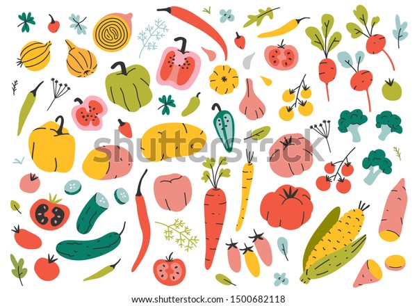 Collection of hand drawn vegetable illustrations\
isolated on white background. Bundle of fresh delicious vegan diet\
vegetarian products, wholesome healthy food, cooking ingredients.\
Flat cartoon style