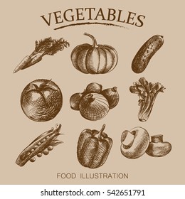 Collection of hand drawn vegetables, sketches of carrot, pumpkin, cucumber, tomato, bow, 
peas, bell pepper, mushrooms retro style vector illustration.