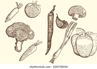 Collection of hand drawn vegetables  vector illustration